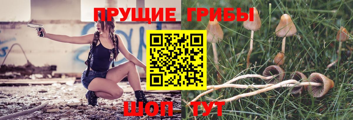 Псилоцибиновые грибы прущие грибы  Вход с VPN  Томск 